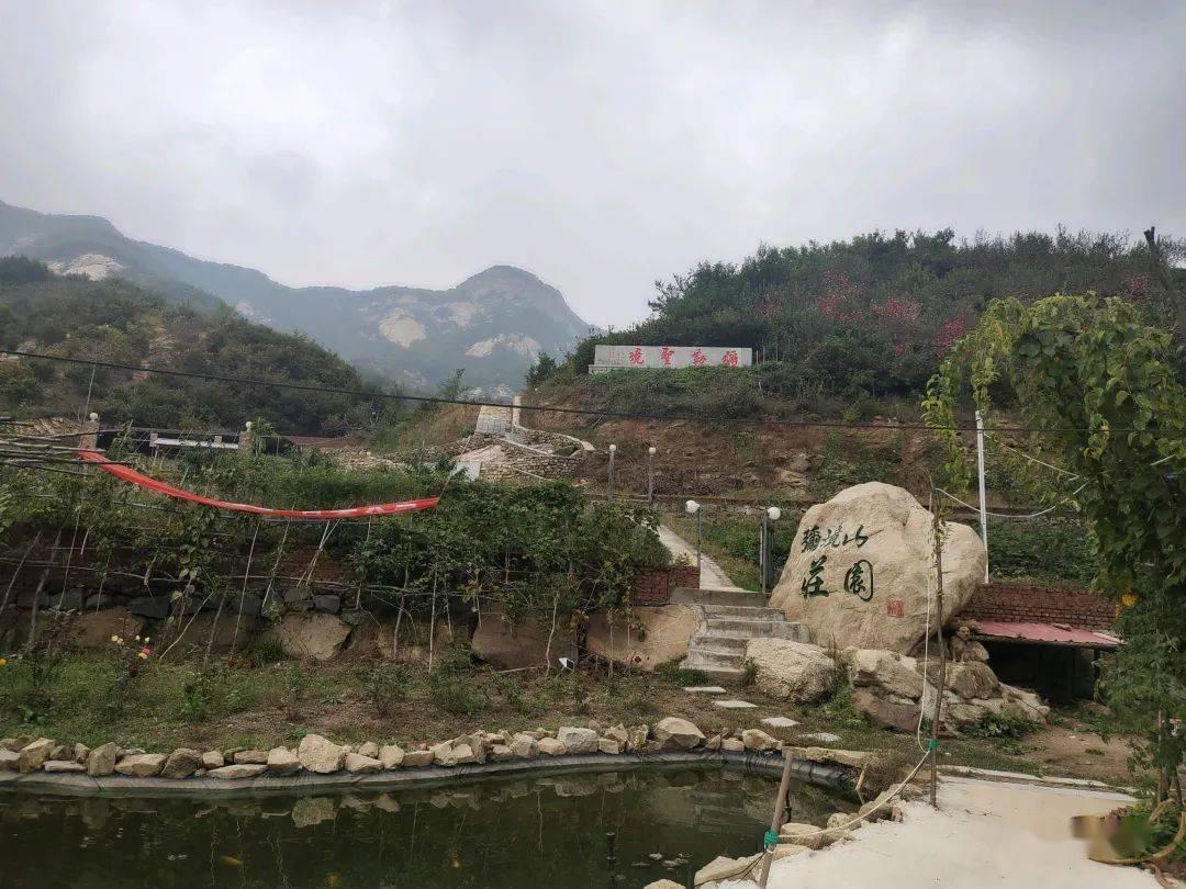 喜欢上一个危险角色怎么办？游戏画面