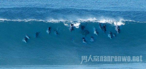 浙江平湖人陆光祖任浚县县长,干了惊天大事,留下1个国宝